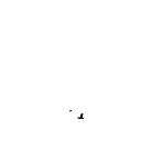u555